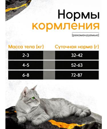 Munch Dry food for sterilized cats turkey+veal - Buy Online on GoSupps.com