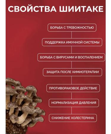 convolutions Shiitaka grain -powered 100 g - Buy Online on GoSupps.com