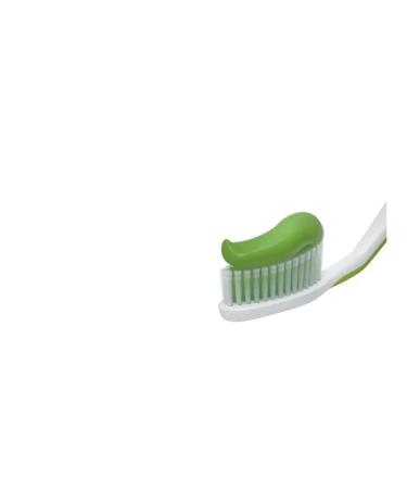 Forest balsam Toothpaste - Buy Online on GoSupps.com