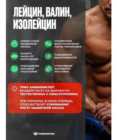 Pureprotein Amino acids BCAA 2 1 1 orange 20 servings - Buy Online on GoSupps.com