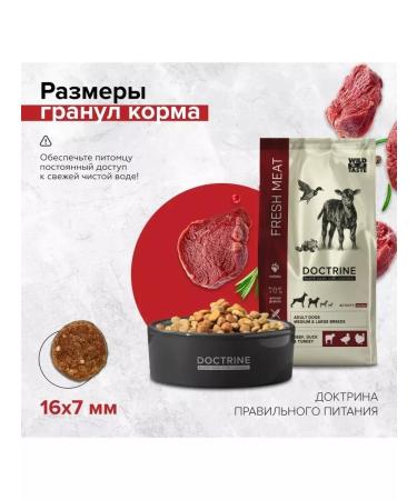 Dog food with turkey and fresh meat 3 kg - Buy Online on GoSupps.com