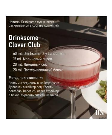 Drinksome Jin non -alcoholic Dry London Gin 1pc 0.7l - Buy Online on GoSupps.com