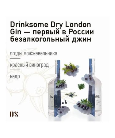 Drinksome Jin non -alcoholic Dry London Gin 1pc 0.7l - Buy Online on GoSupps.com