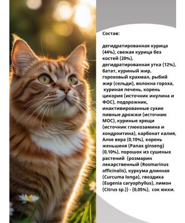 Alleva Holistic dry food for cats with chicken 1.5 kg - Buy Online on GoSupps.com