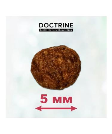 DOCTRINE Keep kittens with turkey and rice 3kg - Buy Online on GoSupps.com