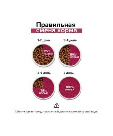 DOCTRINE Keep kittens with turkey and rice 3kg - Buy Online on GoSupps.com