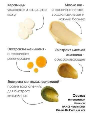 Bandi Intensive cream Nordic Deer Creme de Pied for the legs - Buy Online on GoSupps.com