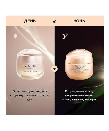 SHISEIDO Night Cream Benefiance smoothing wrinkles - Buy Online on GoSupps.com