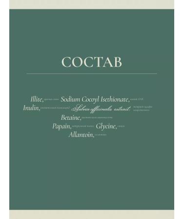 Enzyme to wash with sage 150 gr. - Buy Online on GoSupps.com