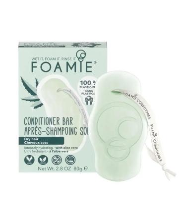 Aloe Very Much air conditioner for dry hair