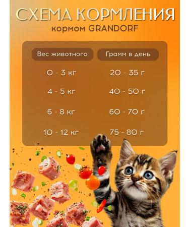 Grandorf Feed for kittens dry lamb with turkey 2 kg - Buy Online on GoSupps.com