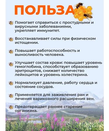 Honey Land Honey with pollen 300 gr. 2025 - Buy Online on GoSupps.com