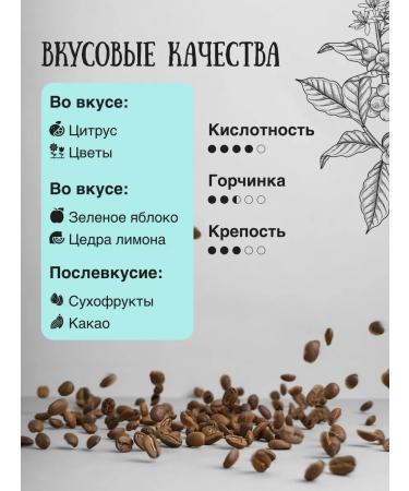 Kofcheg Coffee in grains maragodzhip MEXIK 100% Arabica 1 kg - Buy Online on GoSupps.com