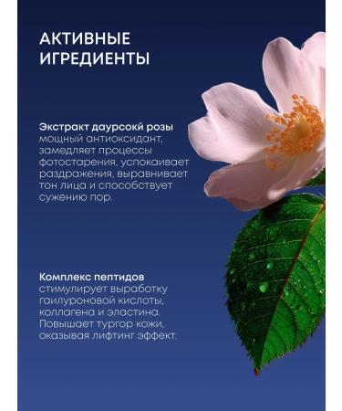 Natura Siberica Facial cream Night -nourishing anti -aging with peptides - Buy Online on GoSupps.com