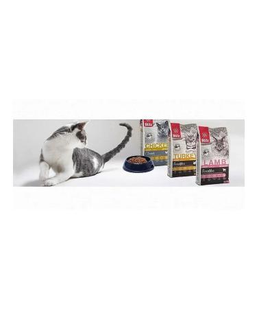 BLITZ Dry food for cats lambs 10 kg - Buy Online on GoSupps.com