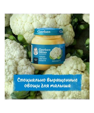 Gerber Color cabbage of mashed potatoes 6x125g - Buy Online on GoSupps.com