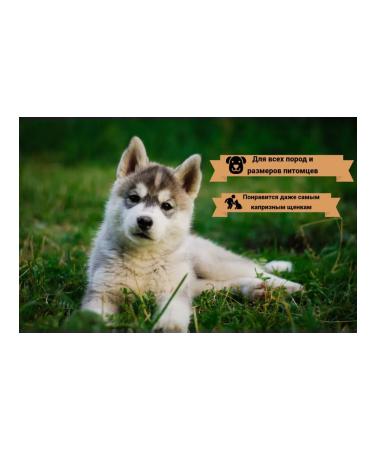 A feeder for a friend Goodness light beef 100 g - Buy Online on GoSupps.com