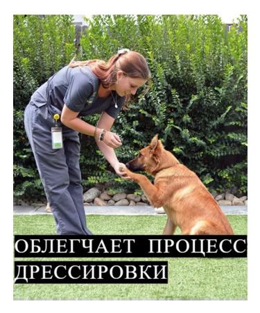 A feeder for a friend Goodness light beef 100 g - Buy Online on GoSupps.com