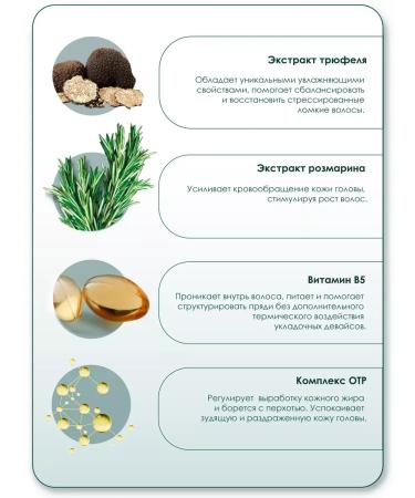 SHRD Moisturizing hair shampoo based on truffle - Buy Online on GoSupps.com