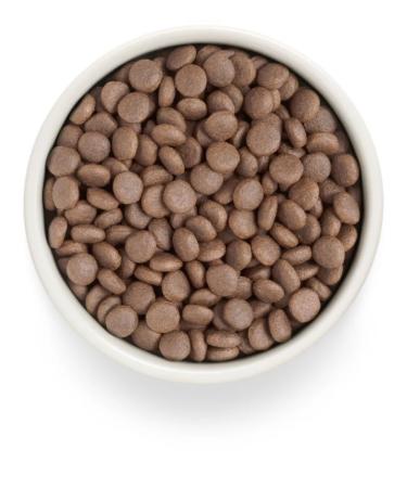 Grandorf fresh Dry food for dogs turkey and battting 10 kg and gift - Buy Online on GoSupps.com