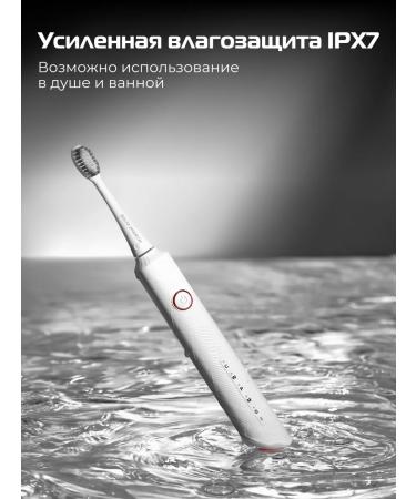 BAUM ZINDECH Set of ultrasound electric shock - Buy Online on GoSupps.com