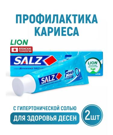 LION Salz Fresh toothpaste for complex protection 2 pcs