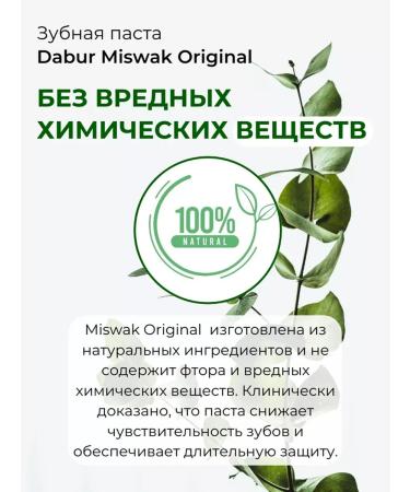Dabur Toothpaste Misvak original with a brush 2 pcs. in 190 - Buy Online on GoSupps.com