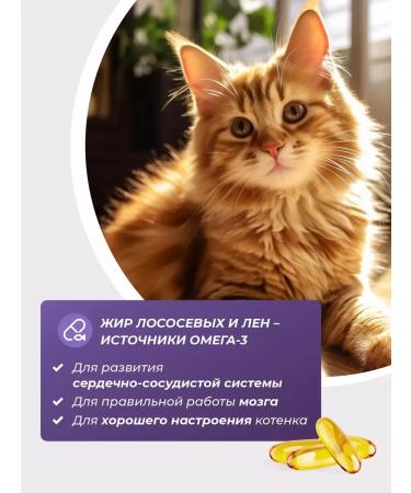 Kittens Feed dry hypoallergenic holistic 1.5 kg - Buy Online on GoSupps.com