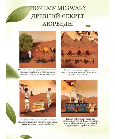 Dabur Toothpaste Mesvak Ayurvedic 3 pcs. 100 g - Buy Online on GoSupps.com