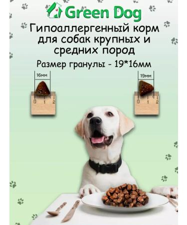 Dry food for large dogs Holistic lamb - Buy Online on GoSupps.com
