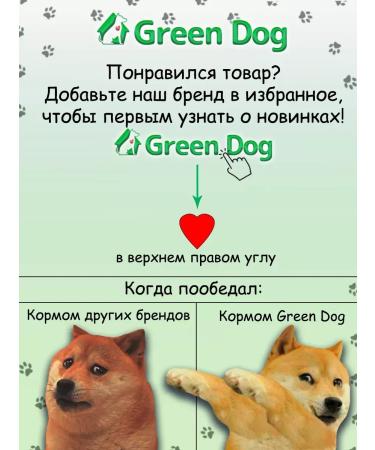 Dry food for large dogs Holistic lamb - Buy Online on GoSupps.com