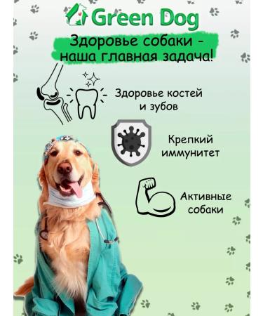 Dry food for large dogs Holistic lamb - Buy Online on GoSupps.com