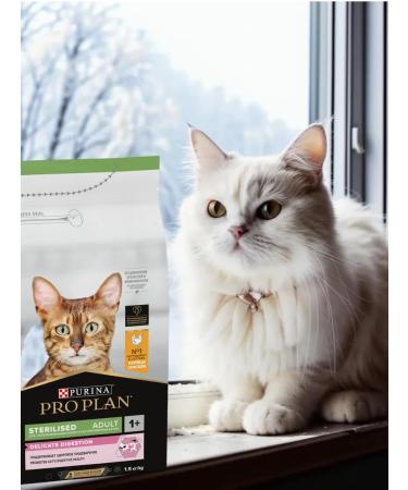 PRO PLAN Cat food Sterilized Delicate Digestion chicken 1.5 kg - Buy Online on GoSupps.com