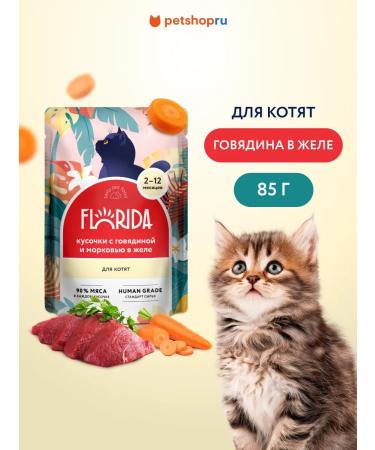 Florida Feed for kittens pieces in jelly 85 g wet food