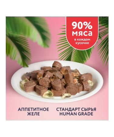 Florida Feed for kittens pieces in jelly 85 g wet food - Buy Online on GoSupps.com