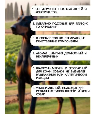 Shampoo for dogs and cats cleansing 5l - Buy Online on GoSupps.com