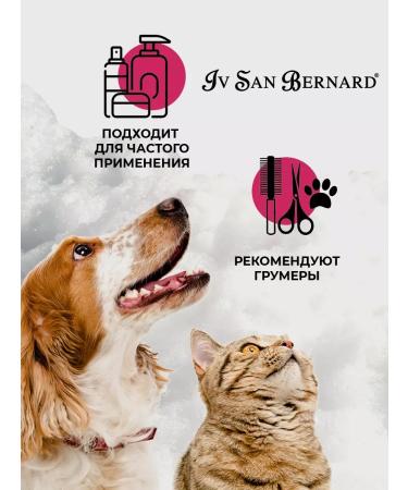 Cherry shampoo for short wool 500 ml - Buy Online on GoSupps.com