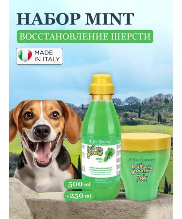 Dog shampoo and ISB mint mask