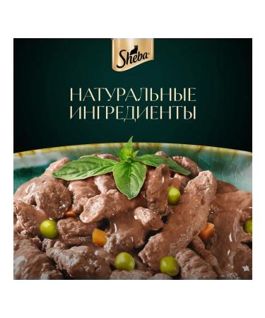 Sheba Wet food for adult cats in assorted sauce 75g x 56 pcs - Buy Online on GoSupps.com
