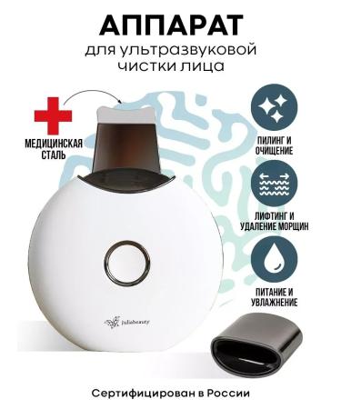 Ultrasonic facial cleaning apparatus