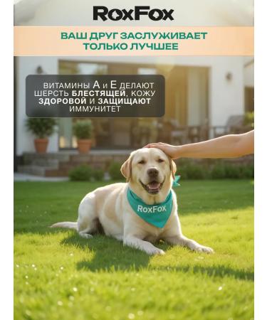 RoxFox Dog food dry with turkey 12 kg - Buy Online on GoSupps.com