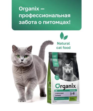 Organix Dry food for cats with lamb fruits and vegetables 0.4 kg - Buy Online on GoSupps.com