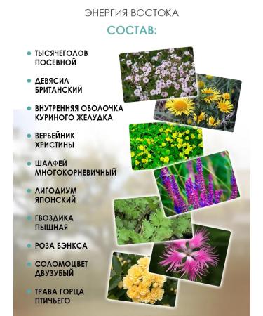 Energy of the East Chinese renal herbal tea Schensiting 20 pcs - Buy Online on GoSupps.com