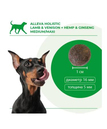 Alleva Adult dog food with lamb and venison 12 kg - Buy Online on GoSupps.com