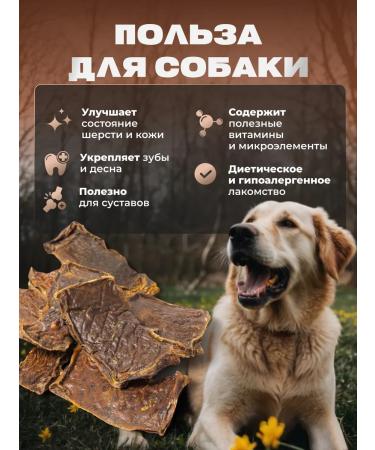 GoloDog Yummy for dogs. Udder beef slice 1000g - Buy Online on GoSupps.com