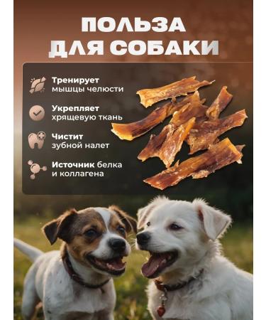 GoloDog A treat for dogs. There lived beef 100g - Buy Online on GoSupps.com