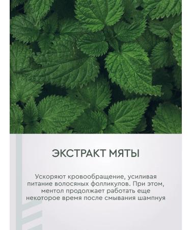 LeNel' made in Siberia Shampoo detox for all hair types - Buy Online on GoSupps.com