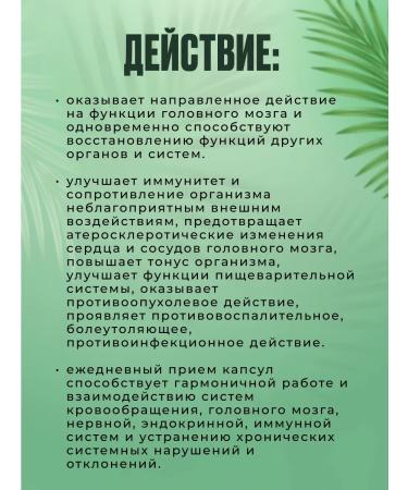 Sashera The secret of beaver sharp mind 7+ 30 capsules - Buy Online on GoSupps.com