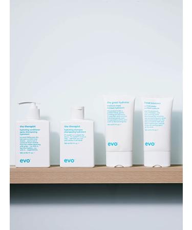 EVO Therapist Air conditioner moisturizer with color protection - Buy Online on GoSupps.com