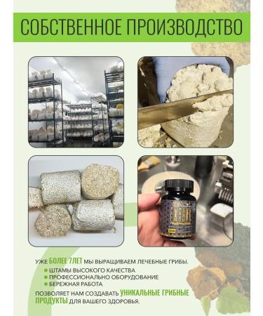 ISaC Nutrition Chaga birch 200 capsules 350 mg - Buy Online on GoSupps.com